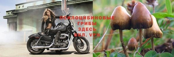 бутират Алзамай